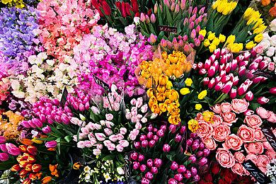 用对话改变BOSS攻击  肉鸽射击游戏《机械觉醒》于7月10日正式上线！